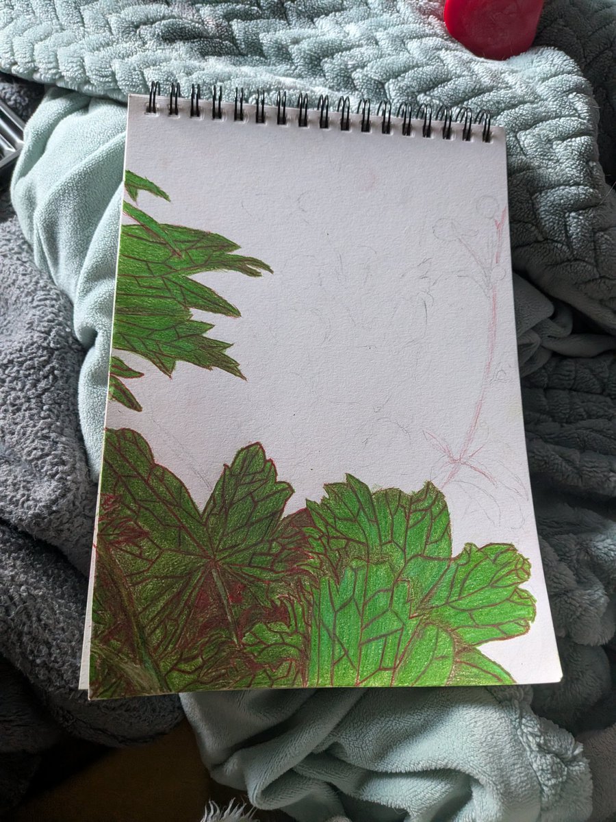 BB22490a's tweet photo. Next little piece im working on :3
#art #Coloredpencil #flowers https://t.co/KJW0exKw1e