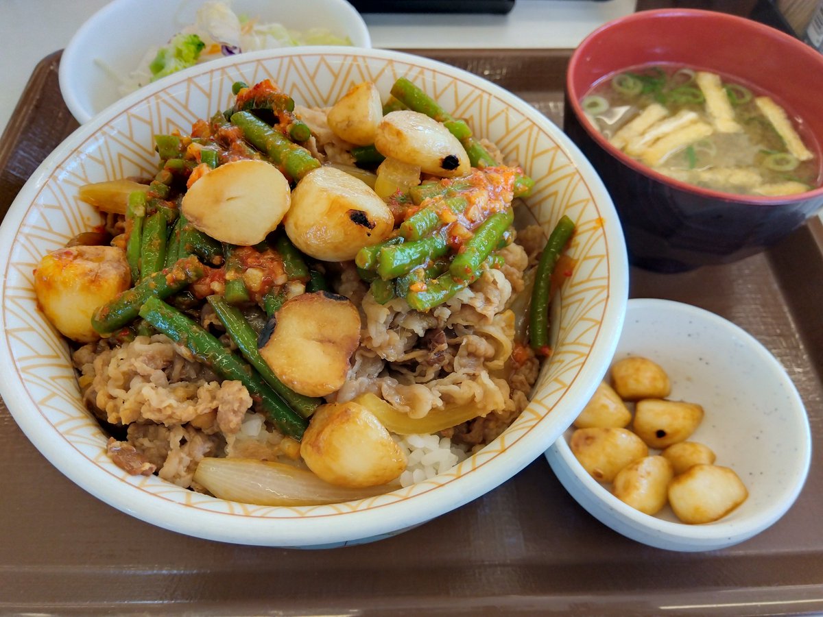 Metta_Bozu's tweet photo. 今日の夜勤明けメシ【すき家】
ダブルにんにくの芽牛丼(追加フライドにんにく)食べてリフレッシュ〜(・∀・) https://t.co/Rz3udraDzU