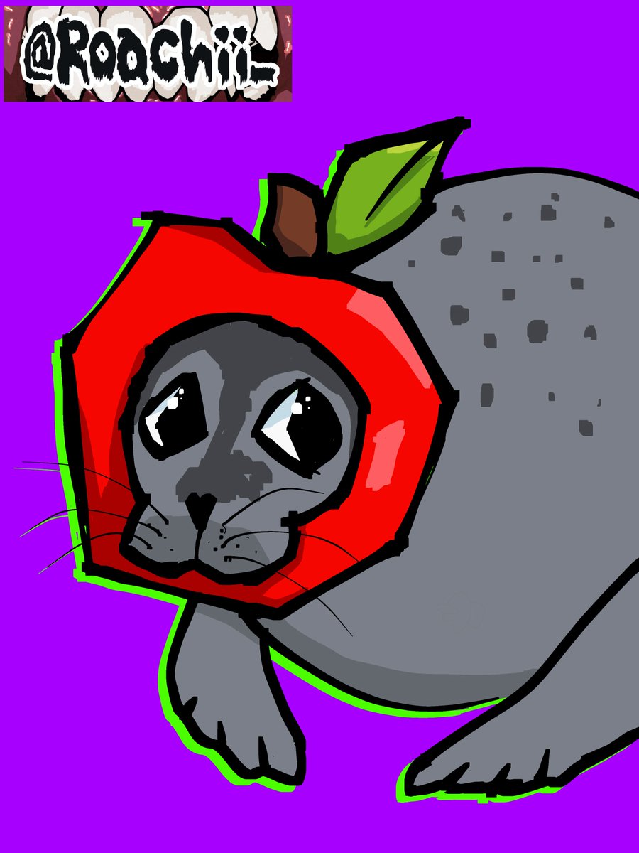 Roachii_'s tweet photo. i love seals. this one's wearing a fruit hat. that's the whole post.

#sealart #cuteart #digitalillustration https://t.co/GFCL5yNVdV
