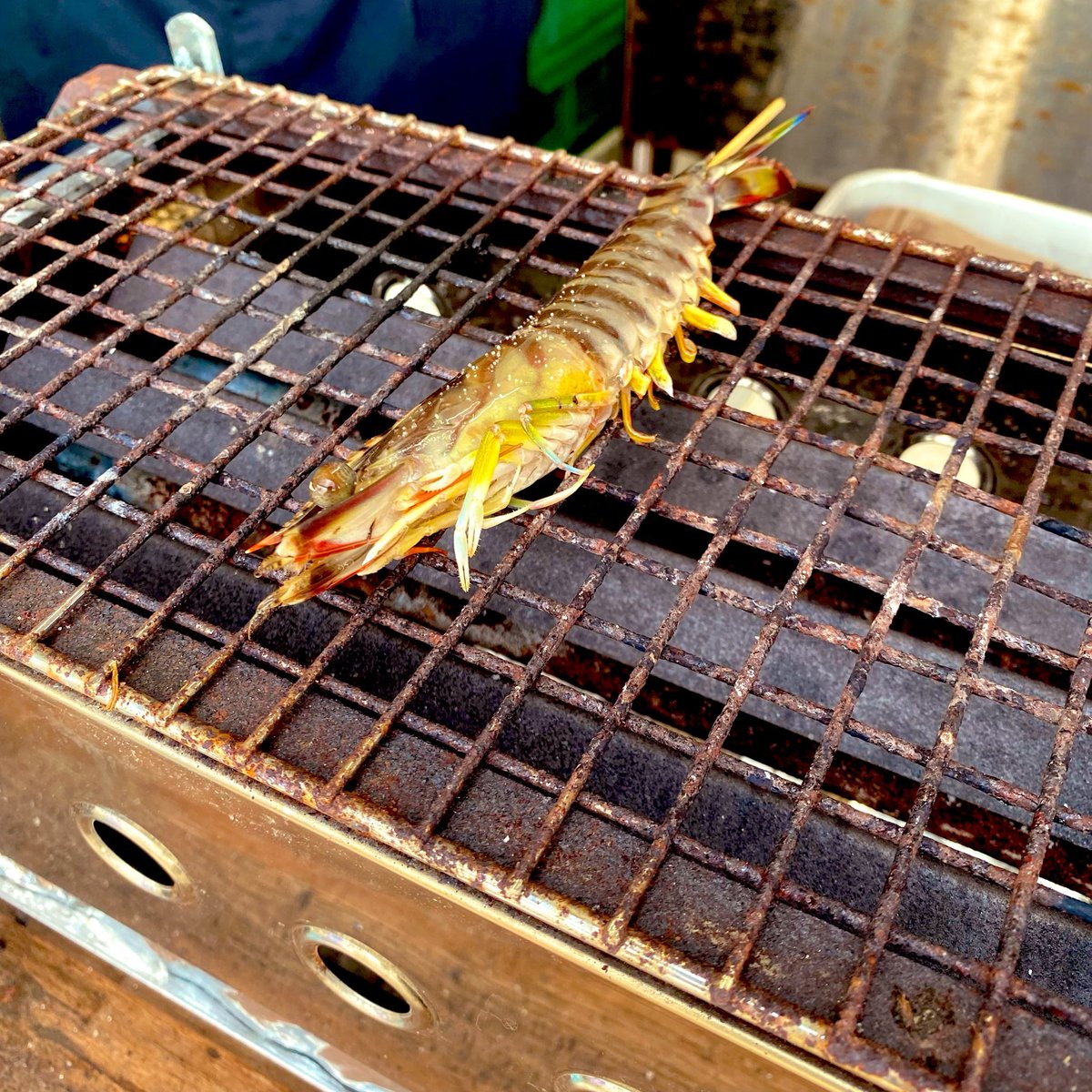 chee_029's tweet photo. 鴨川･木更津旅行で朝の散歩に出かけたパパとちびチーが  #厚生水産 さんで浜焼き食べてたので、後を追って大きな生牡蠣を頂きました♡ https://t.co/rqIHFwmERc