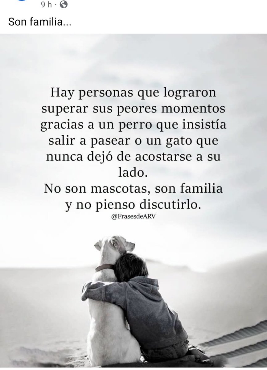 Sebacollazo19's tweet photo. Son familia!! ❤️ https://t.co/4HnIiuDjdI