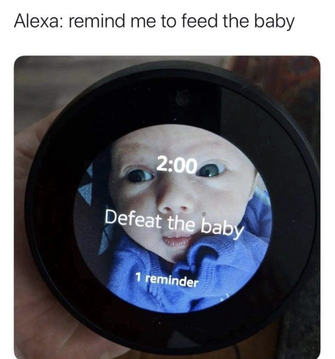 RespectfulMemes's tweet photo. https://t.co/PFOIU7AVJY