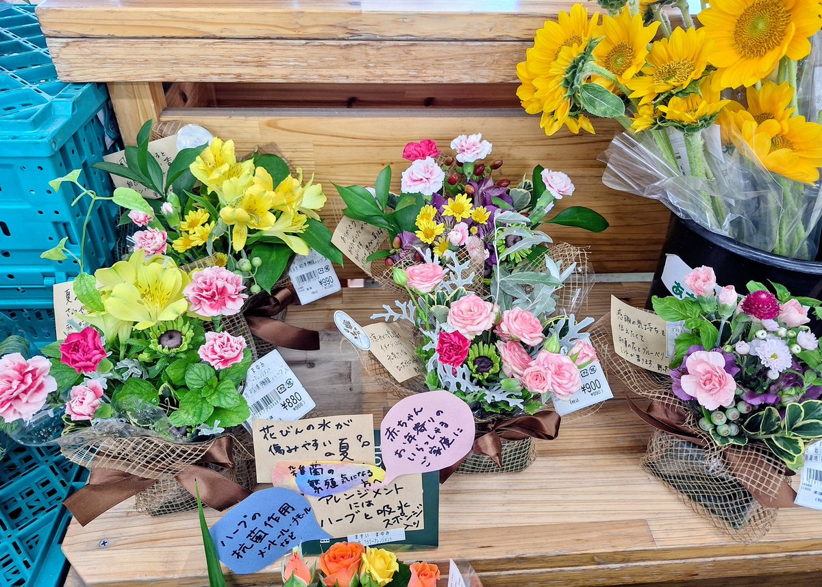 おはようございます🍀 🟩 JA湘南農協直売所 あさつゆ広場 (平塚 花菜