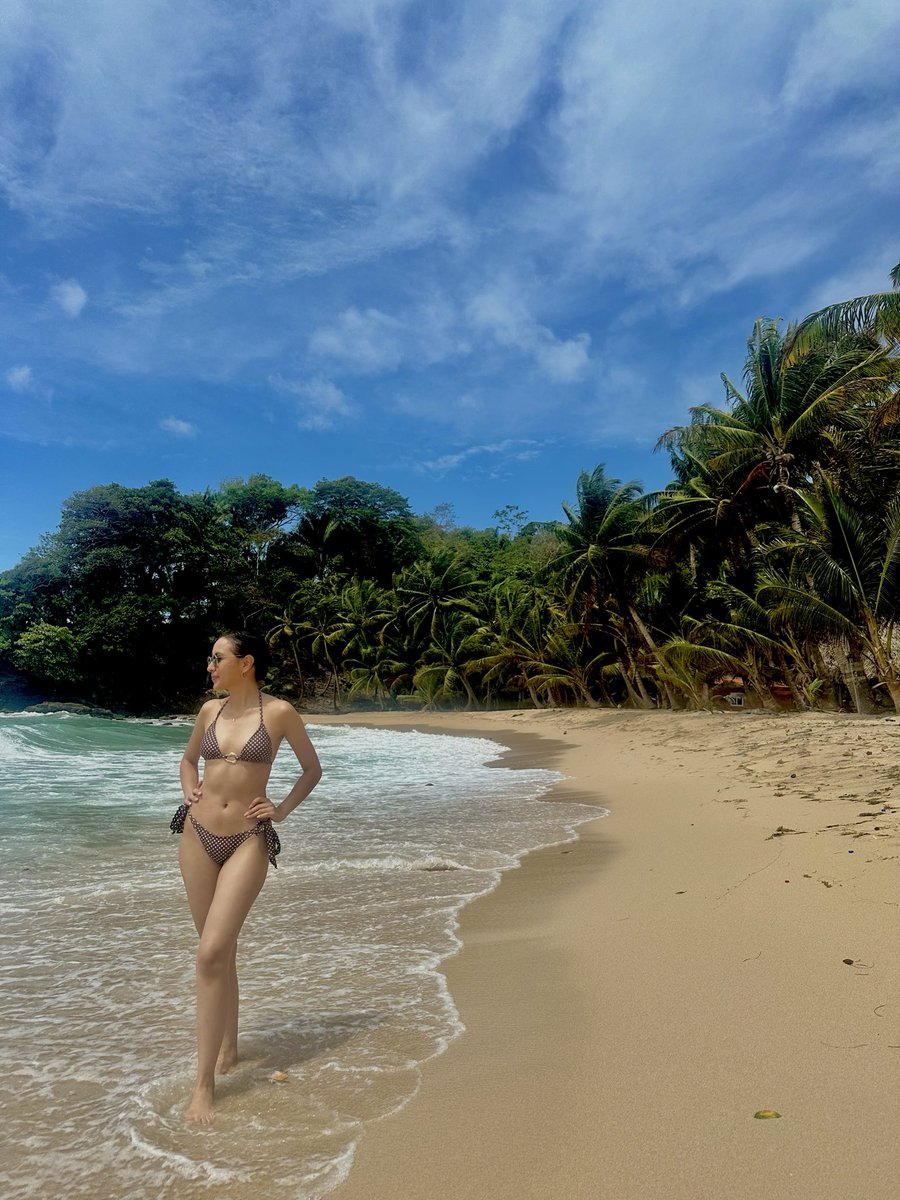 lkas31's tweet photo. 🌴☀️ https://t.co/IsaBlbgvfx