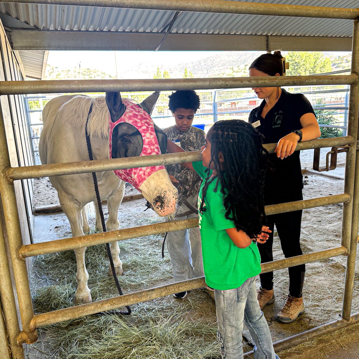 URM's tweet photo. 🐴💙 This week, children from our Downtown LA campus and Angeles House are discovering confidence, courage, and connection at Horses in the Hood Camp at Ride On Therapeutic Horsemanship.

Throughout the week, 12 children are learning how to care for horses, build trust through riding, and experience the healing power of equine therapy. They’re also enjoying teamwork activities, creative crafts, and making unforgettable summer memories together.

Sometimes the greatest lessons come with four legs. From building confidence to learning responsibility and compassion, experiences like these help our children grow in ways that last far beyond camp.
Thank you to Ride On Therapeutic Horsemanship and Horses in the Hood for creating a place where our children can thrive, explore, and simply enjoy being kids.

#unionrescuemission #thewayhome #HorsesInTheHood #RideOnTherapeuticHorsemanship #EquineTherapy #SummerCamp #HopeForChildren #LosAngeles #CommunityPartners #MakingADifference