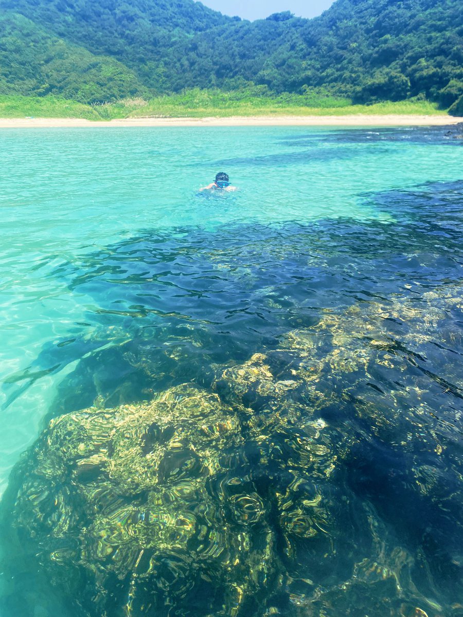 ShUnKarage's tweet photo. 熱帯魚がたくさんおるべ🐠 https://t.co/IhAkfhMTKn