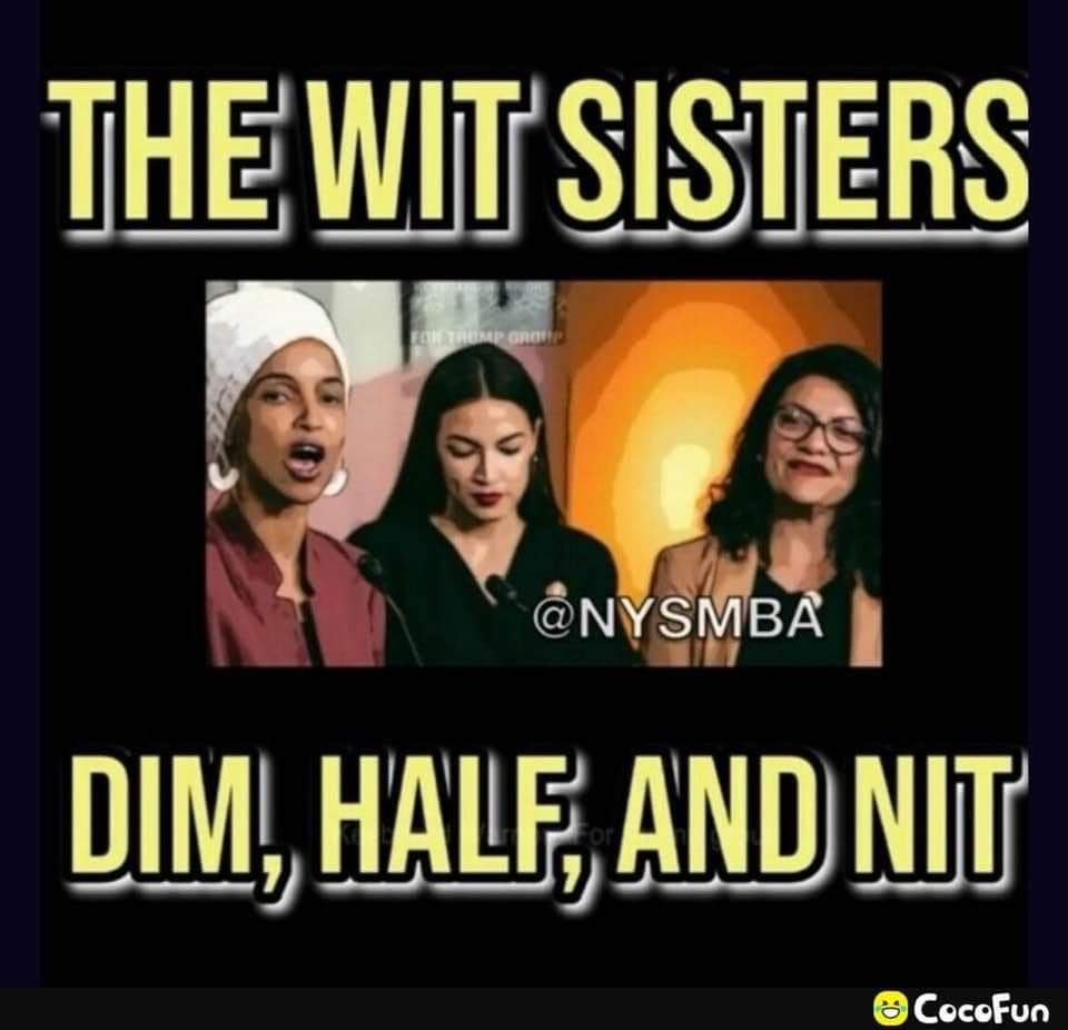 CutAit10's tweet photo. @AntiWokeMemes https://t.co/BQyVhiWE4g