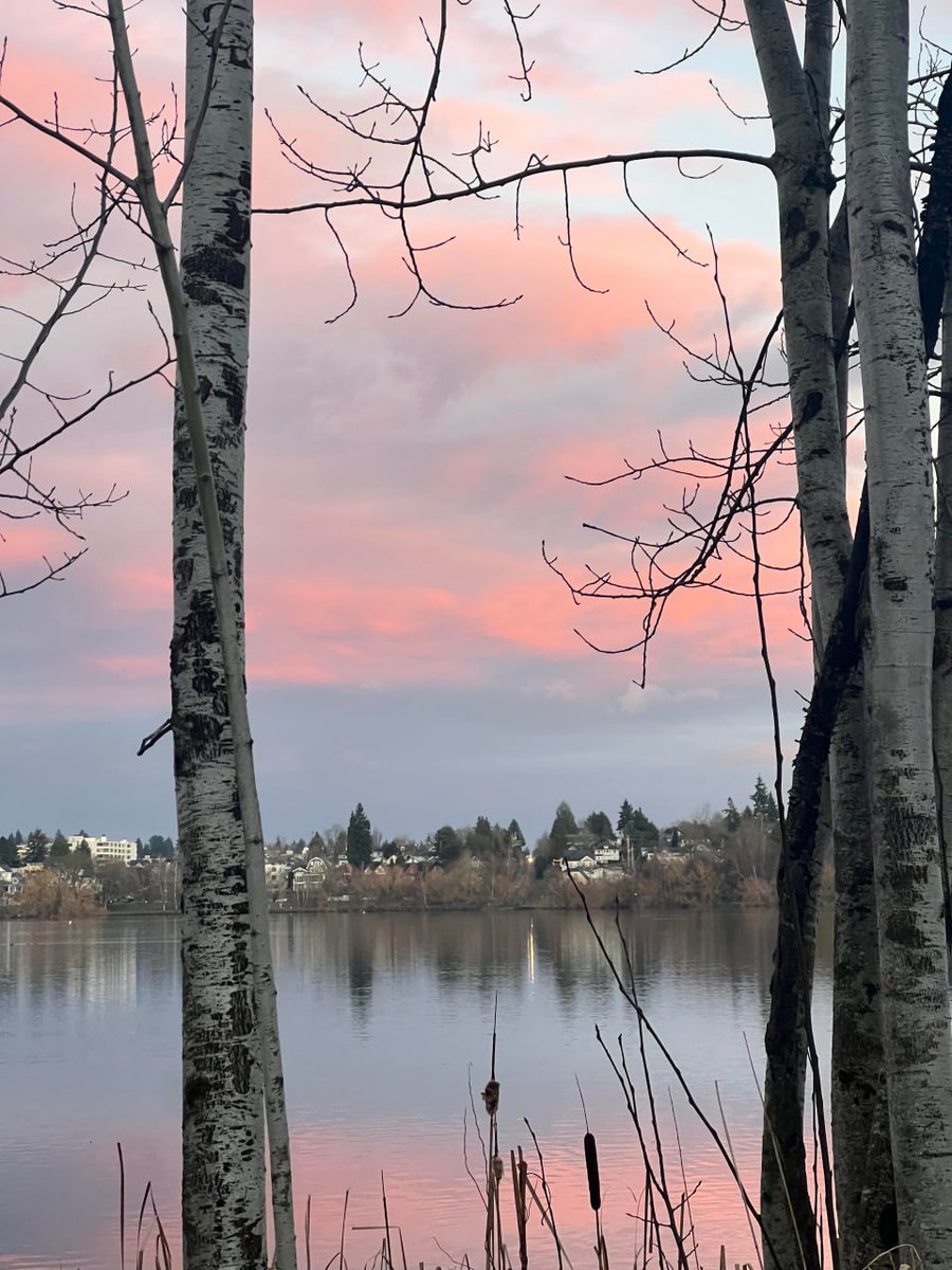 Grancserra's tweet photo. The weather in Seattle has been really peaceful lately. I love moments like this when the sky reflects on the water. Peaceful moments by the water 🌅✨

#Seattle #SeattleLife https://t.co/cH9g1x1ce6