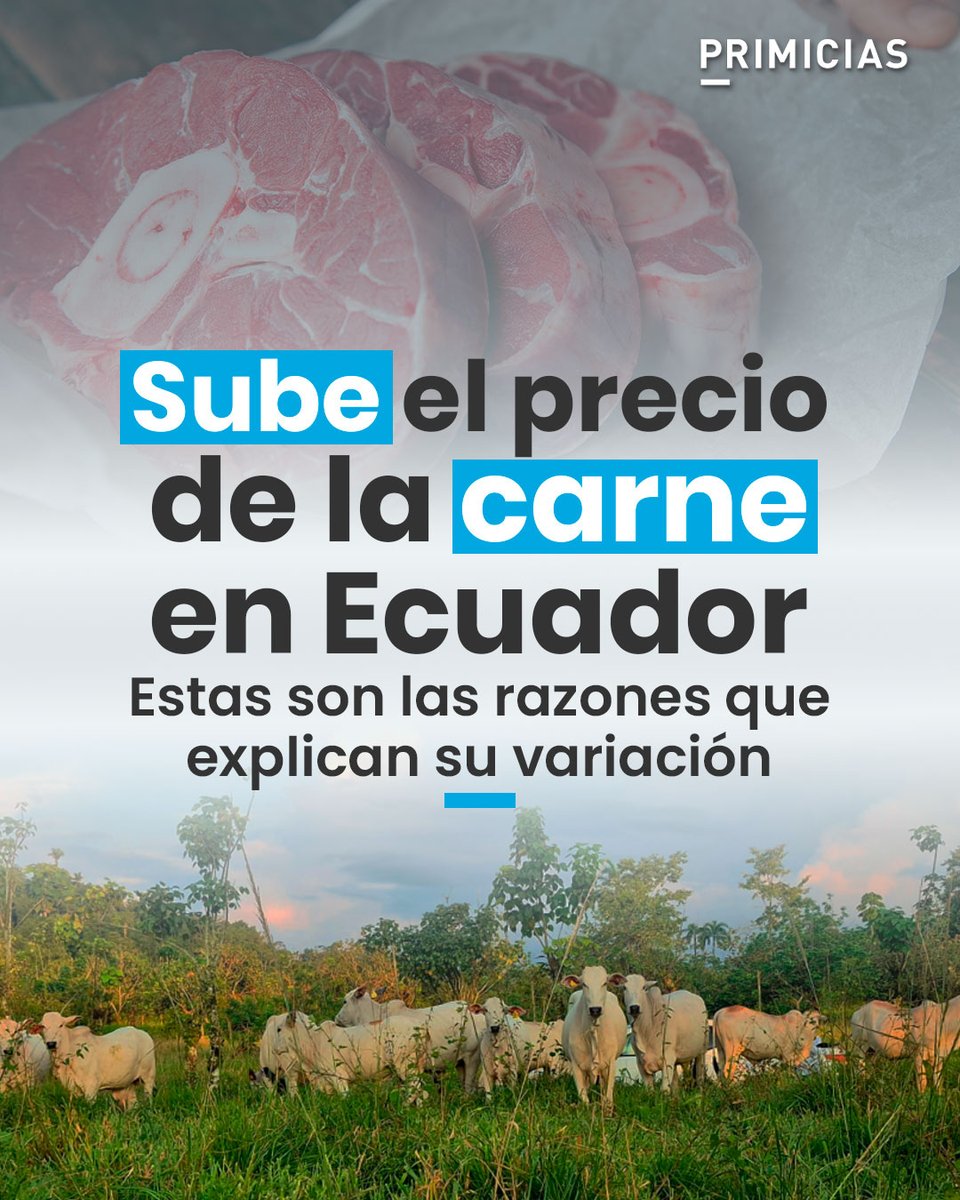 Primicias's tweet photo. En lo que va de 2026, el precio de la carne ha venido al alza en Ecuador. Un empresario ganadero explica cuáles son las razones principales por las cuales el mercado se ha comportado de esta manera.  https://t.co/CsvhkD7Zwt https://t.co/7vHU5OUjeo