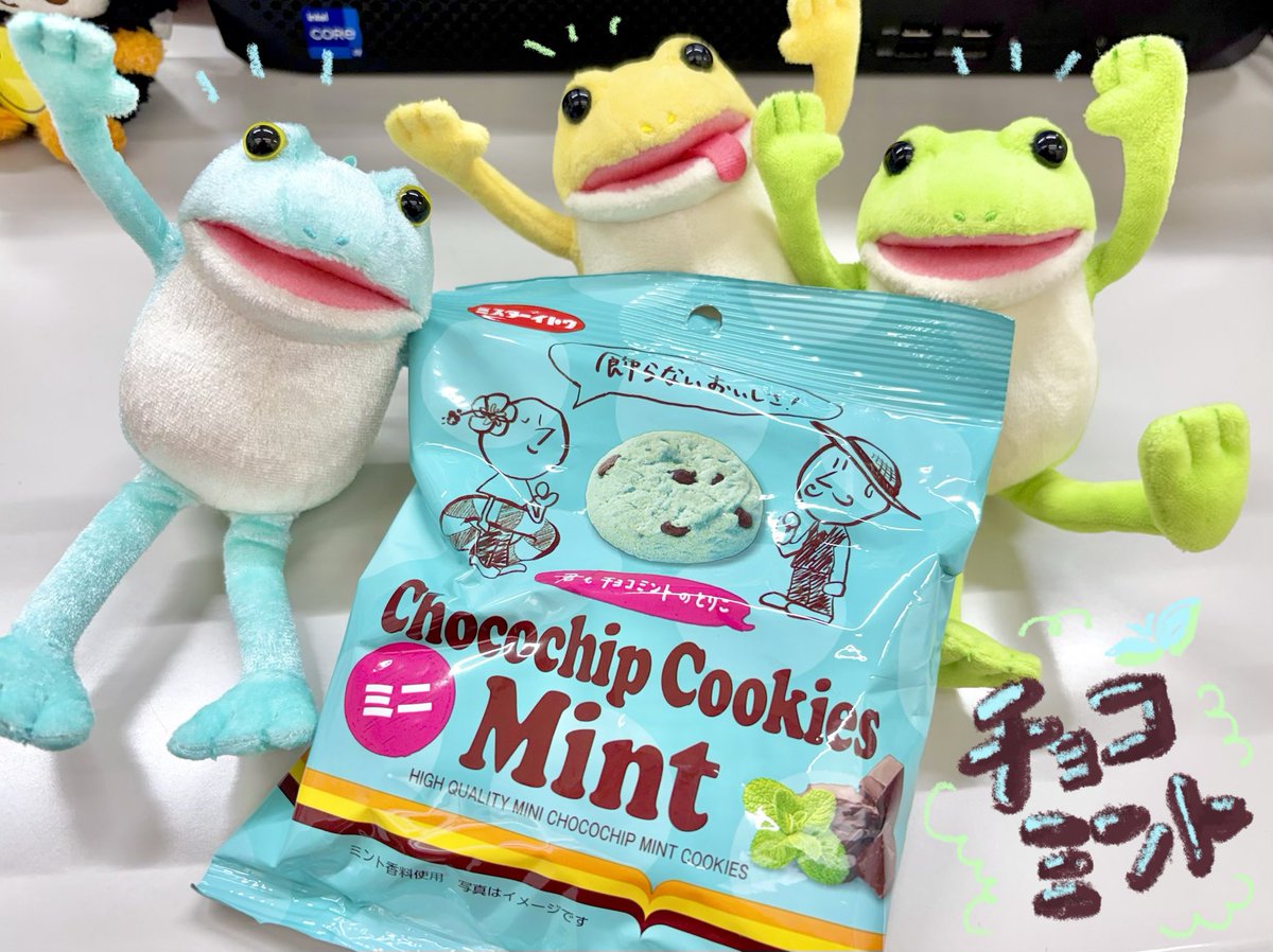 HIDEさま専用　ディッキーズ　チビタグ　ミント ケロティーとチョコチップクッキーミントミニ、おそろいカラーで