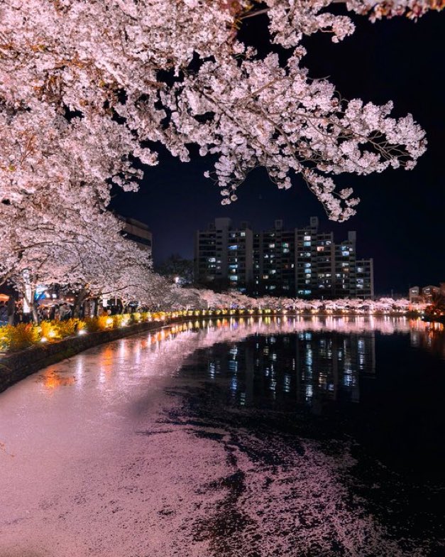 viewsoff's tweet photo. Night in Japan https://t.co/aSFZ3hbIwB