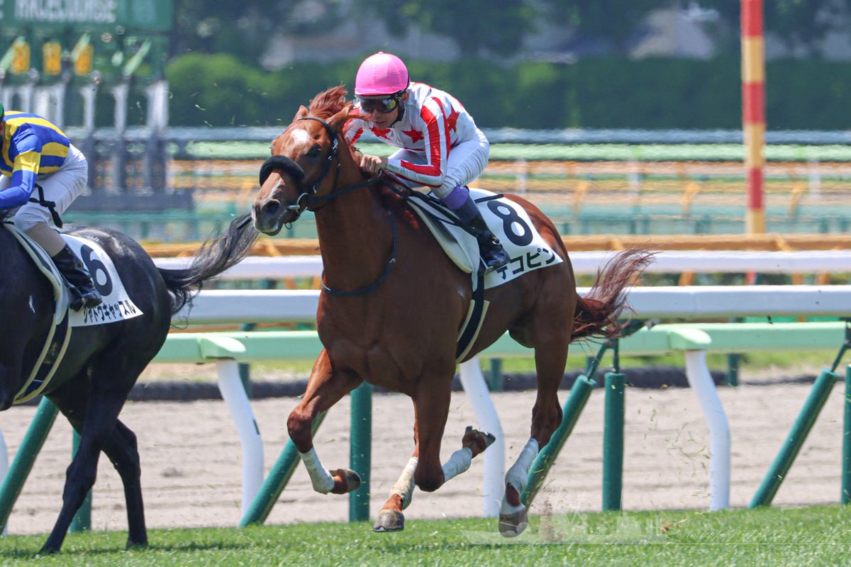Eternel642764's tweet photo. イッペイ🤔🤔🤔🤔

2年前の函館新馬でデコピン乗ってたなと🤨🤨🤨🤨 https://t.co/YJ1zKDG6yS