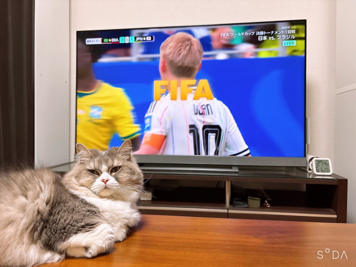 mokosuke_0625's tweet photo. ポケモン×Jリーグコラボにつられて初めてサッカー観戦(しかも女ソロ参戦)に行こうとしてます⚽️
今までW杯しか観たことがないにわかなのですが、1025匹中の最推しがお隣の県となればそら行きますよー👻💜

※写真はブラジル戦の時のもこすけ https://t.co/WszAMG6LL7