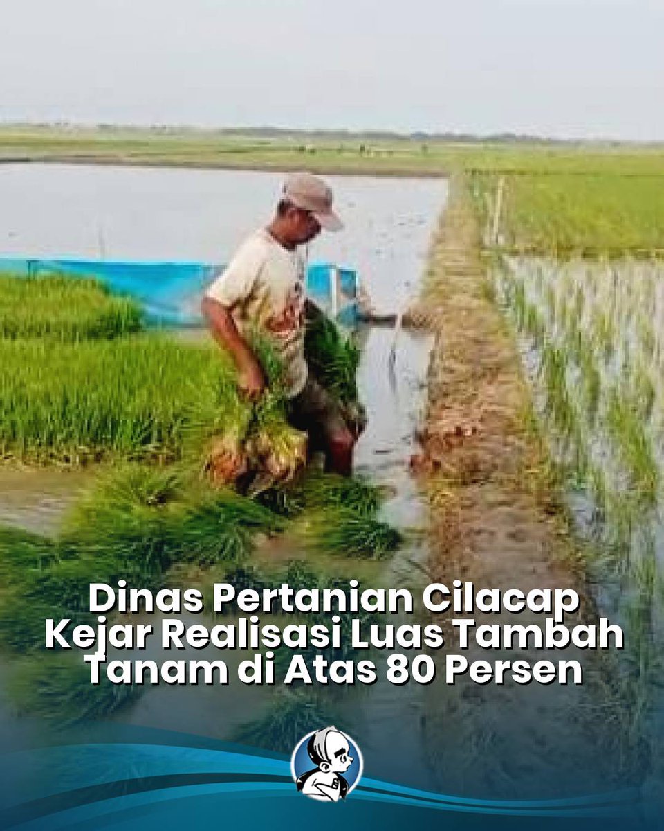radarmasnetwork's tweet photo. Target Luas Tambah Tanam padi Cilacap Juni 2026 diperkirakan tak tercapai akibat lahan sawah sudah memasuki masa tanam. Dinas Pertanian optimis realisasi tetap di atas 80% agar produksi padi tetap terjaga. #Pertanian #Cilacap #Pangan https://t.co/xTeQ5oU1QD