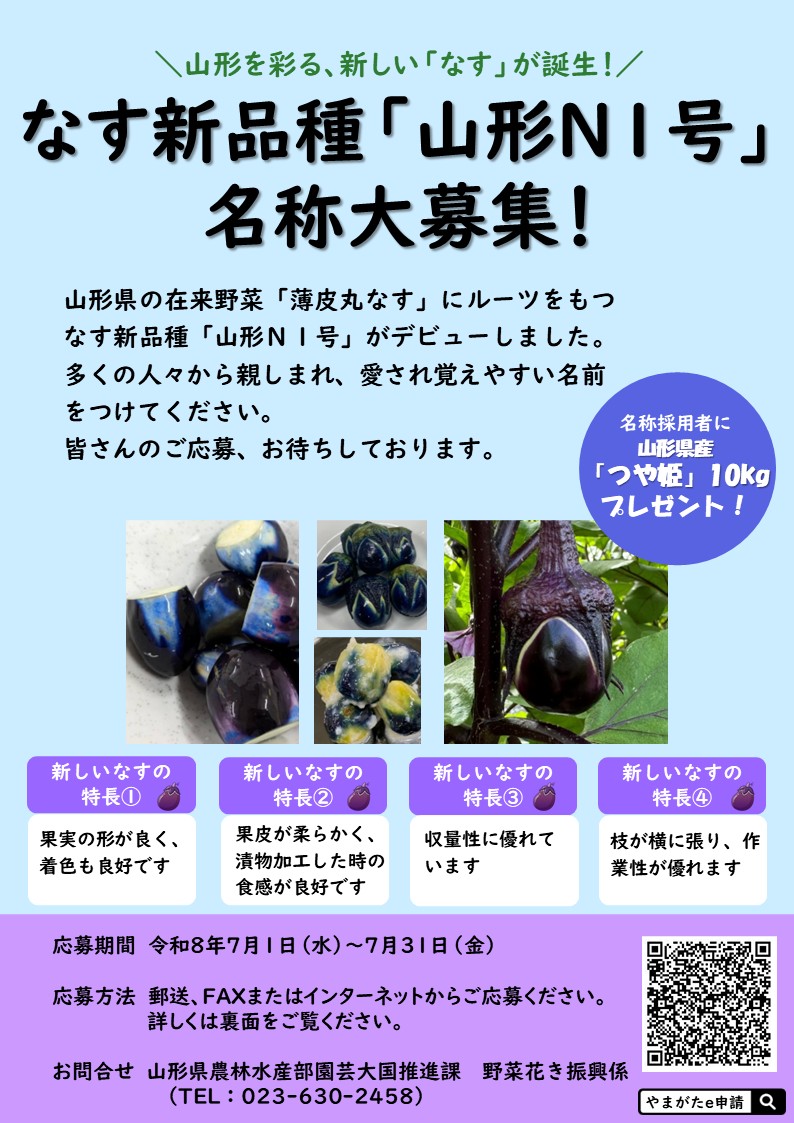 pref_yamagata's tweet photo. 【なす新品種「山形Ｎ１号」の名称を募集中！】

本県が育成したなす新品種「山形Ｎ１号」の名称募集を開始しました。
「山形Ｎ１号」は、薄皮丸なすにルーツをもち、漬物加工に適する美味しいなすです。

是非、愛され覚えやすい名前をご応募ください。
名称を採用された方には、山形県産米「つや姫」10kgをプレゼント！

応募期間：７月１日（水）～７月３１日（金）まで

詳細はチラシをご確認ください。 
名称のご応募はこちらから▼
https://t.co/9cuXh2rBzG