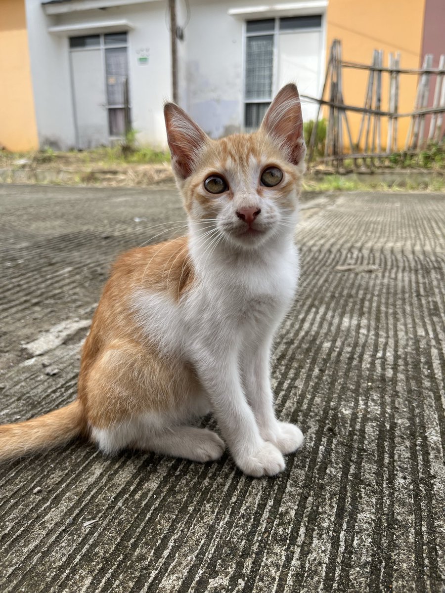 mutiarazkia's tweet photo. @rince_life Senja anak baik, maafin semua hal jahat yang nimpa kamu di dunia ya 🥹 https://t.co/OSR9ci8oGw