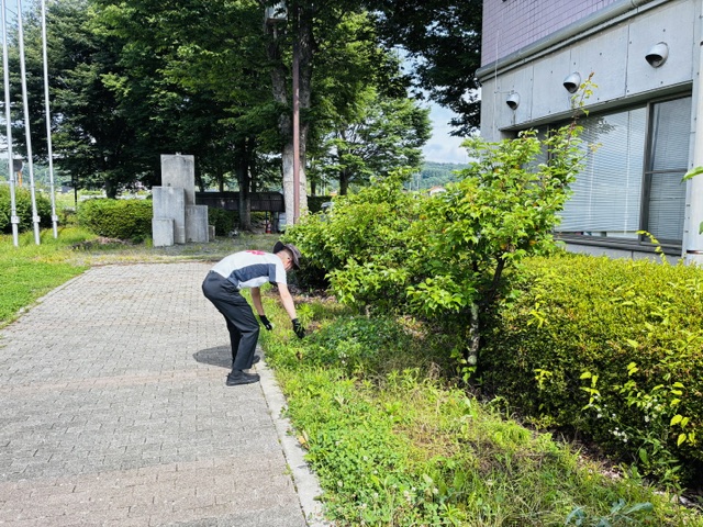 sakucosmo's tweet photo. 草むしり、暑いです😳
ですが、こういうのもホール管理の大切な仕事です。 https://t.co/bX6K8ulTh2