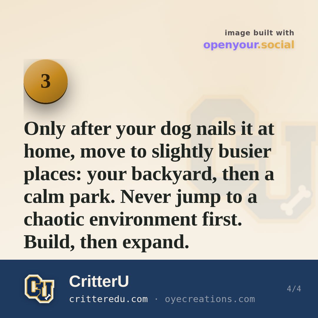 critteredu's tweet photo. Focus is everything. Here's how to build it right, step by step. 👀 What's your dog's biggest distraction?

#dogtraining #positivereinforcement #forcefreetraining #puppytraining #trainingtips https://t.co/wpKngxsqd0