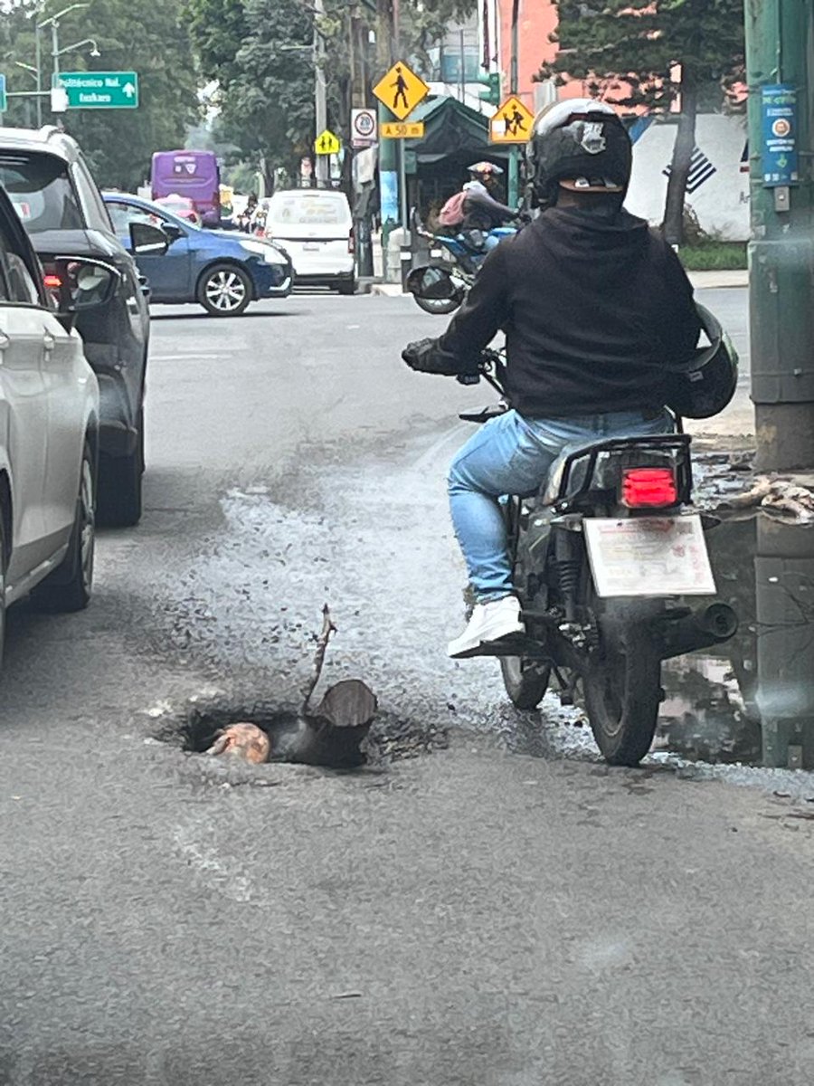 aureliolopezh's tweet photo. @LaSEMOVI @SOBSECDMX @TuAlcaldiaGAM En la lateral de Insurgentes, dirección sur a norte, casi esquina con Euzkaro, hay un encharcamiento permanente que impide caminar por la banqueta y que oculta un bache peligroso. https://t.co/VTTGWButLL