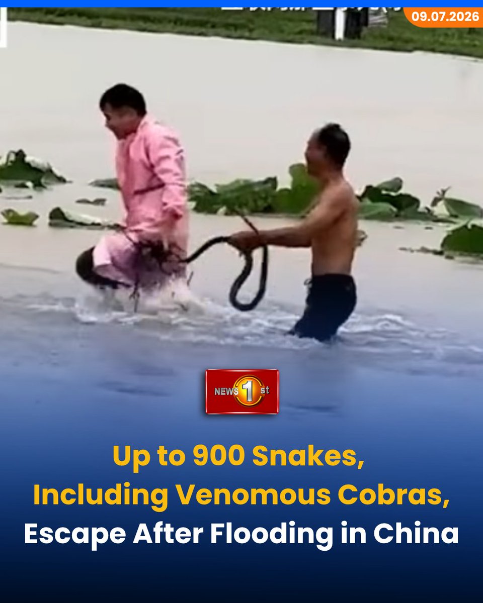 NewsfirstSL's tweet photo. Up to 900 Snakes, Including Venomous Cobras, Escape After Flooding in China
Details: https://t.co/ntB01lOpRd
#News1st #NewsFirst #NewsFirstEnglish #LKA #SriLanka #ChinaFloods #Guangxi #TyphoonMaysak #Hengzhou #SnakeEscape https://t.co/84LfpjOmCZ