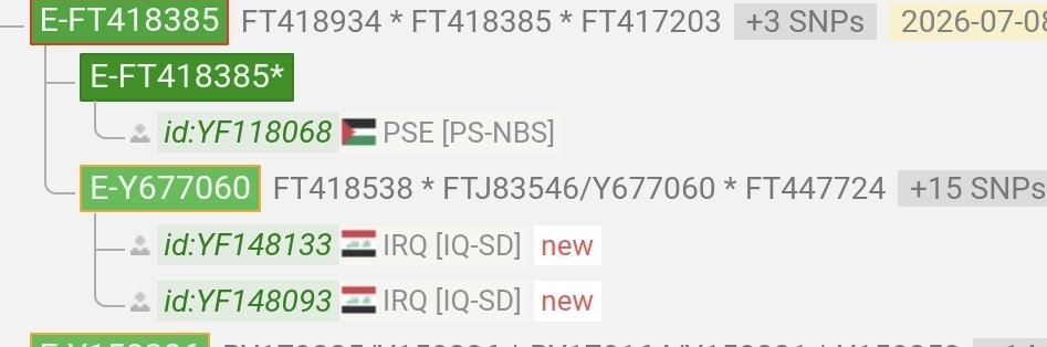 Em35V22's tweet photo. بالتعاون مع الأستاذ عماد المرزوق أبو عبدالله
يسرنا الإعلان عن نتيجة تطوير BigY لعينة الأخ أمجد الطالبي من العراق /سامراء.
على السلالة #EV22 التحور E-FT418934
متكتلاً مع عينات السادة السوامرة (الكيلدار - البوعباس-البونيسان-البوكنعان)
الموروث : أشراف حسنية.
نبارك لصاحب العينه هذه النتيجة و نشكره على مساهمته بإثراء هذا العلم.