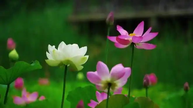 LifeLoad23 tweet picture