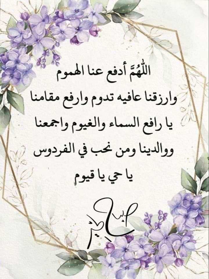 ARABIANDOVE's tweet photo. https://t.co/wAXEG4ospC