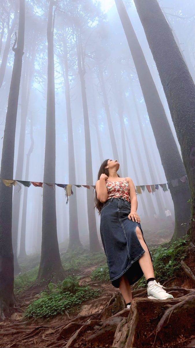 pritty26435347's tweet photo. Lost in the mountains of darjeeling 🌿#darjeeling#mountain https://t.co/NaNWJuP3A6