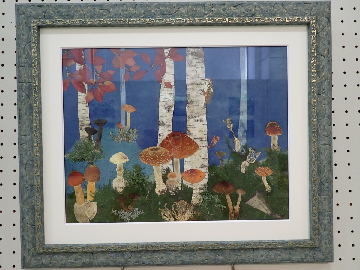 冬虫夏草展では押蕈を用いたアート作品を7点展示してます 押蕈とは