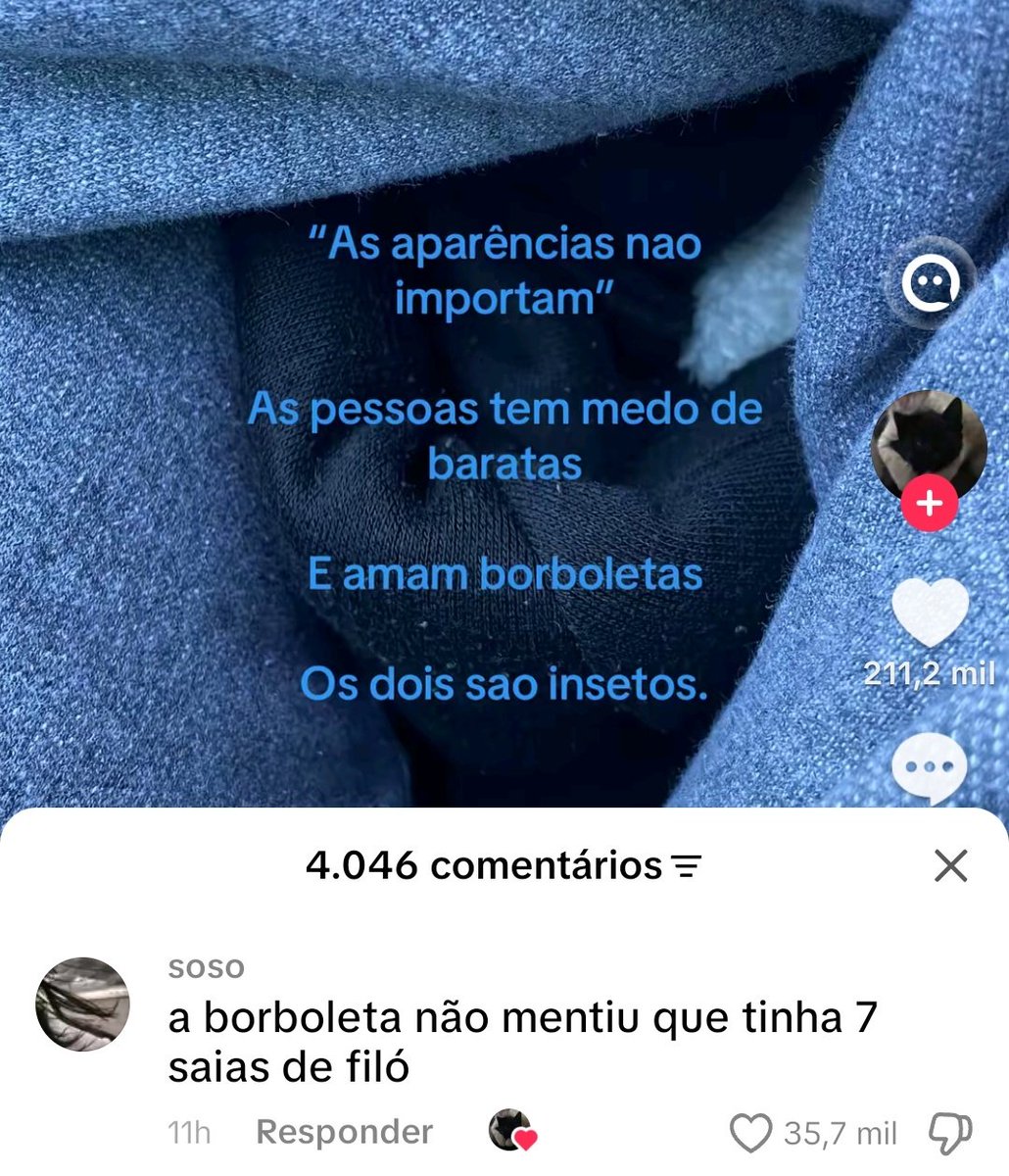 Callianzinn's tweet photo. A borboletinha nn sobe no meu hambúrguer https://t.co/Rnt3vy01fD