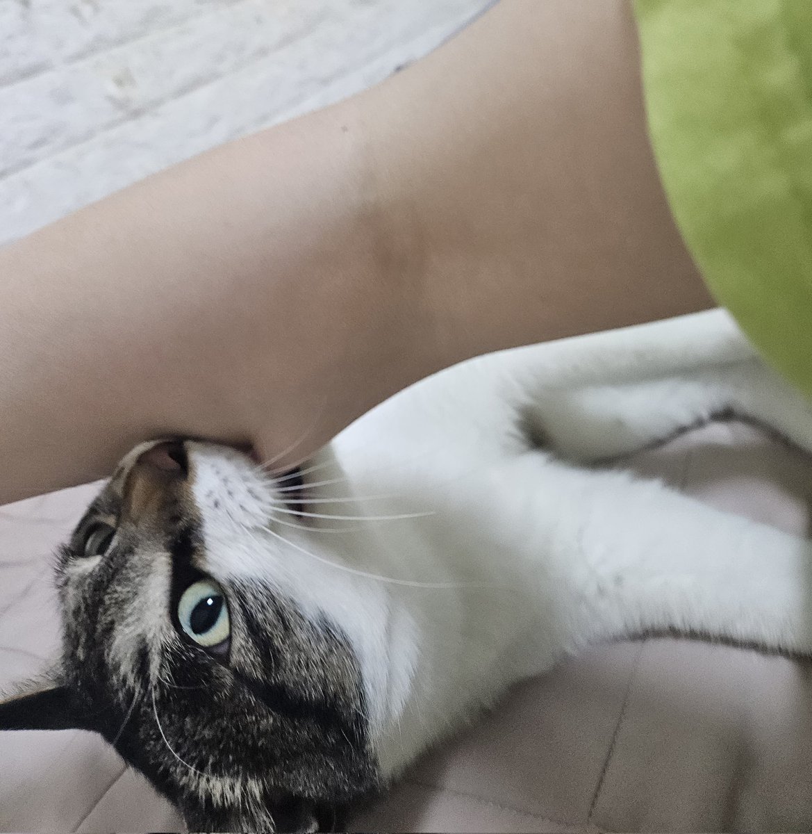 hb_aunt's tweet photo. 우리집은 악귀인데 https://t.co/ugVLSw0RB6