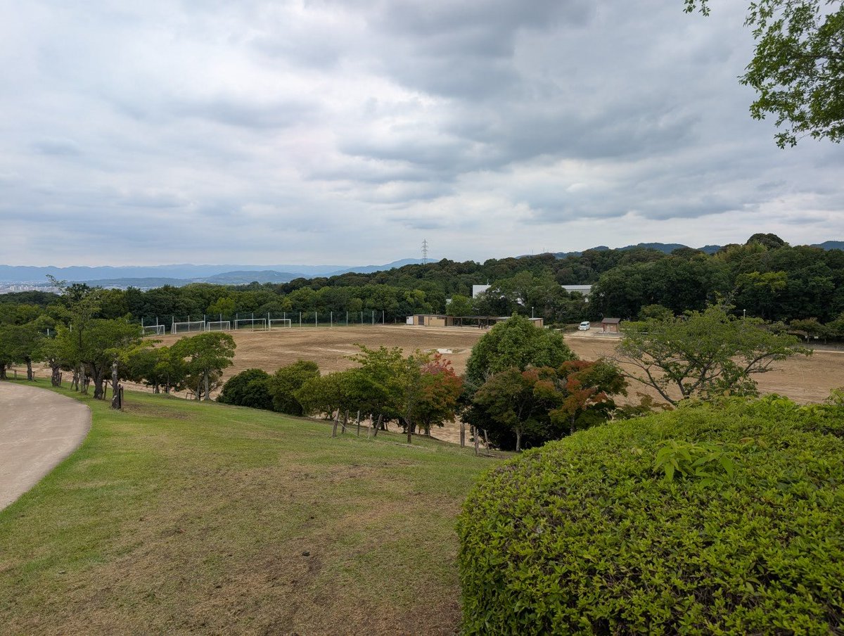 BuriburiRodrigo's tweet photo. 今年も終わりました
疲れた https://t.co/bfVX6qgnkv