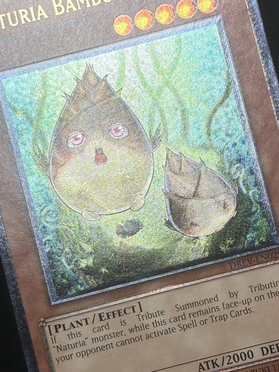 遊戯王］ ナチュルバンブーシュート【レリーフ】 1⃣9⃣8⃣0⃣円で販売