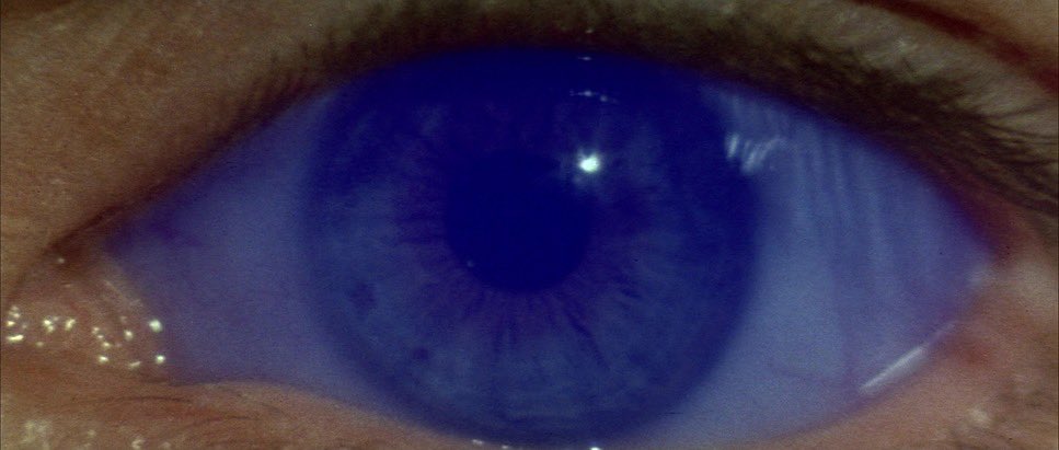 equipe86d's tweet photo. Dune (1984), David Lynch
(first watch, it was…interesting) https://t.co/UdQtxOdY11