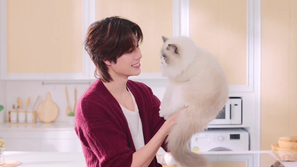 doublepjourney_'s tweet photo. นุ่มฟูทั้งฮ���นะเหมียวทั้งพุเหมียวเลยนินา 🎀🐱🤲🏻

PHUWIN FELINA CANINO BA

#FelinaCaninoXPhuwin
#FelinaCanino #เฟลินาคานิโน
#phuwintang @phuwintang https://t.co/7quoPNQC1W