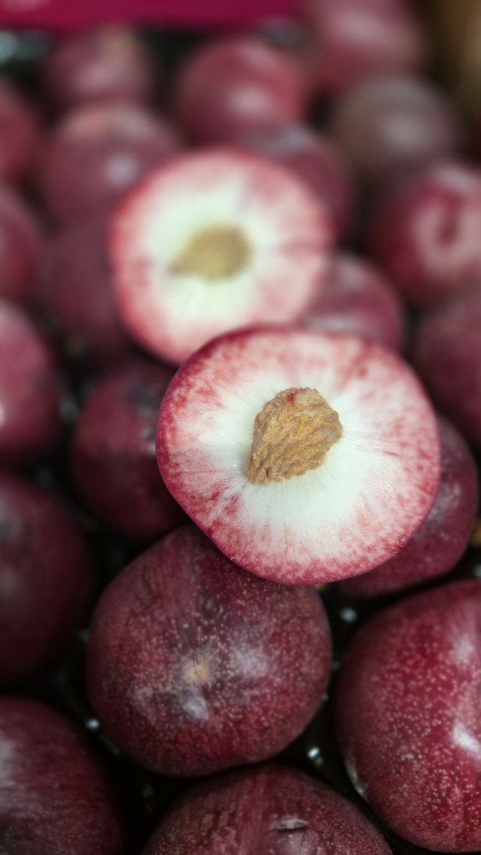 FirstChoiceVeg's tweet photo. Blood Nectarines and Blood Peaches now in stock 

02074980550
Sales@firstchoiceproduce.com 
https://t.co/jIH6JU9JUx https://t.co/zPp9SXR9bd