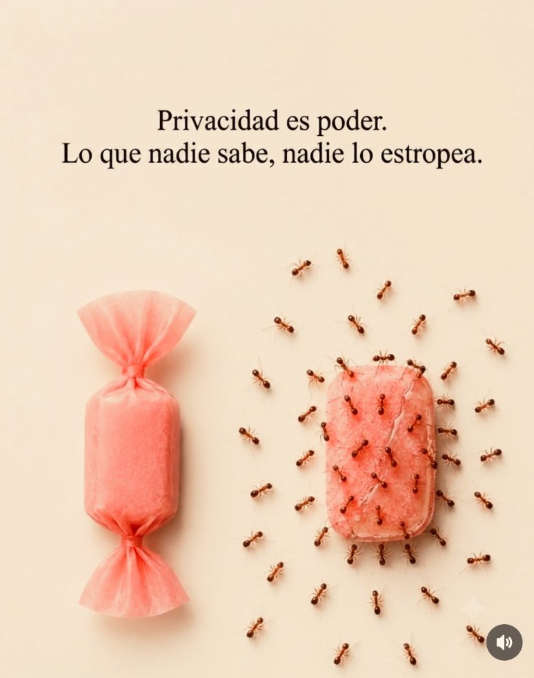chefAnaMariaV's tweet photo. https://t.co/LEQOLALMra