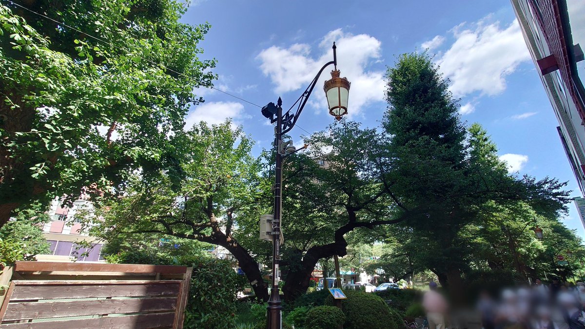 fire5_aze's tweet photo. 今年、初めての蝉。
写真だけど… https://t.co/vRleEUpT2G