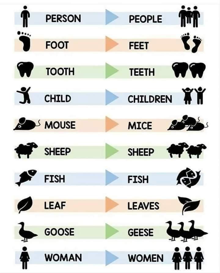 _learnEnglis's tweet photo. https://t.co/Ejx6mKkMaJ