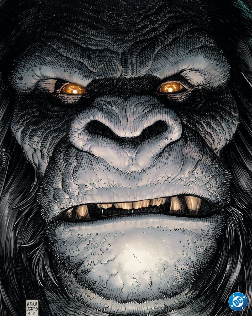 AlexEstebanDC's tweet photo. 🚨Jimmy Tatro está en conversaciones para protagonizar a Gorilla Grodd en la serie de ‘JIMMY OLSEN’.

(Vía: @Deadline) https://t.co/P2OJX93uoN