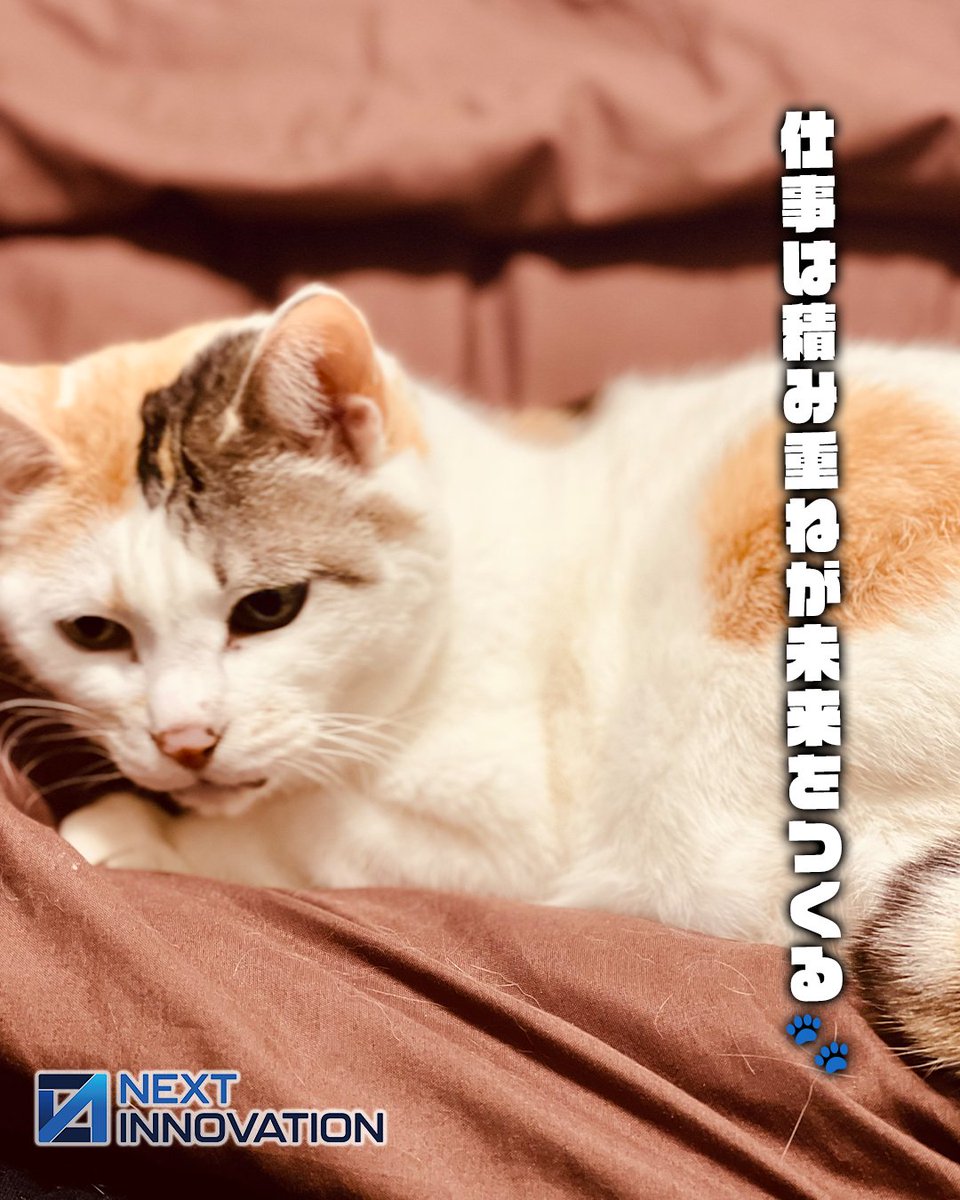 nxtinnovations's tweet photo. 🐾猫社長ゆずマルにゃ🐱
2026年7月9日（木）🐾 #猫社長の仕事術
今日もコツコツ積み重ねることが、大きな成果への近道だにゃ💻✨
システムづくりもホームページ制作も、見えない部分の丁寧な仕事が大切にゃ🐱
ゆずマルは20時間寝て2時間しっかり働くスタイルで、今日も全力にゃ😸

#猫社長 #仕事術 #IT #ホームページ制作 #システム開発 #誹謗中傷対策 #業務改善 #DX #猫好き #ネクストイノベーション #IT企業
