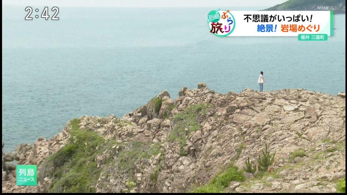 Andreainhoshi's tweet photo. https://t.co/bzI60WW4qO