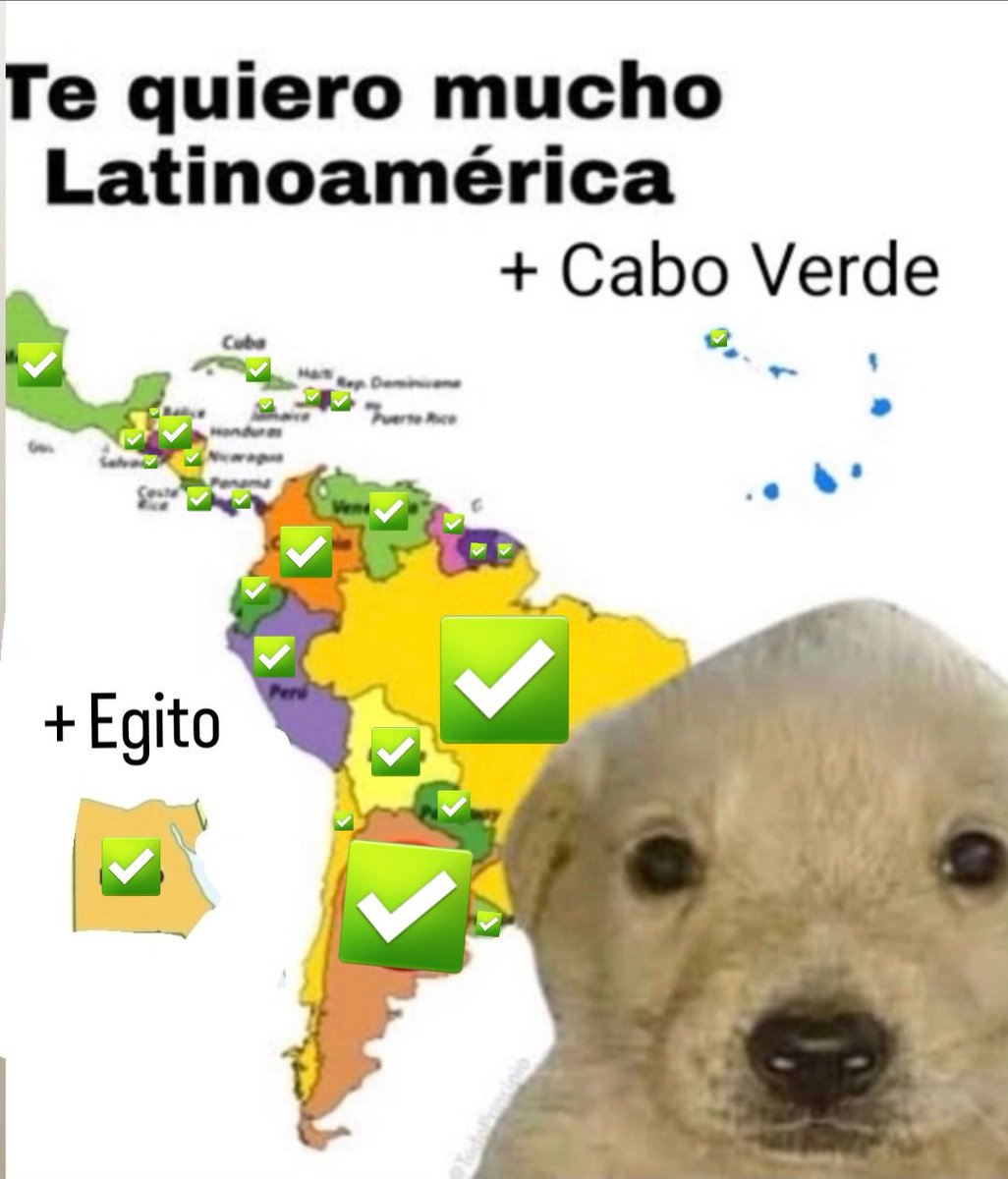 𝙍𝙞𝙙𝙞𝙣' 𝙇𝙤𝙬 𝙄𝙣 𝙈𝙚𝙢𝙥𝙝𝙞𝙨 tweet media