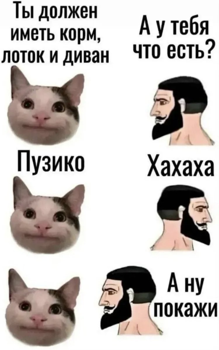 Oudian🇺🇦 tweet media