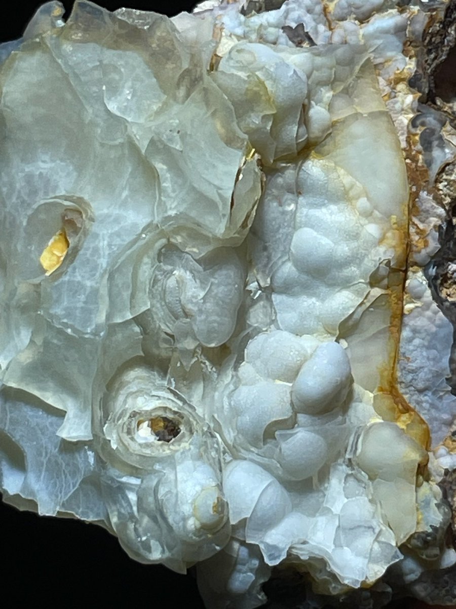 prssaitho's tweet photo. 近くの里山の石　2個 https://t.co/iyqYrw9iXI