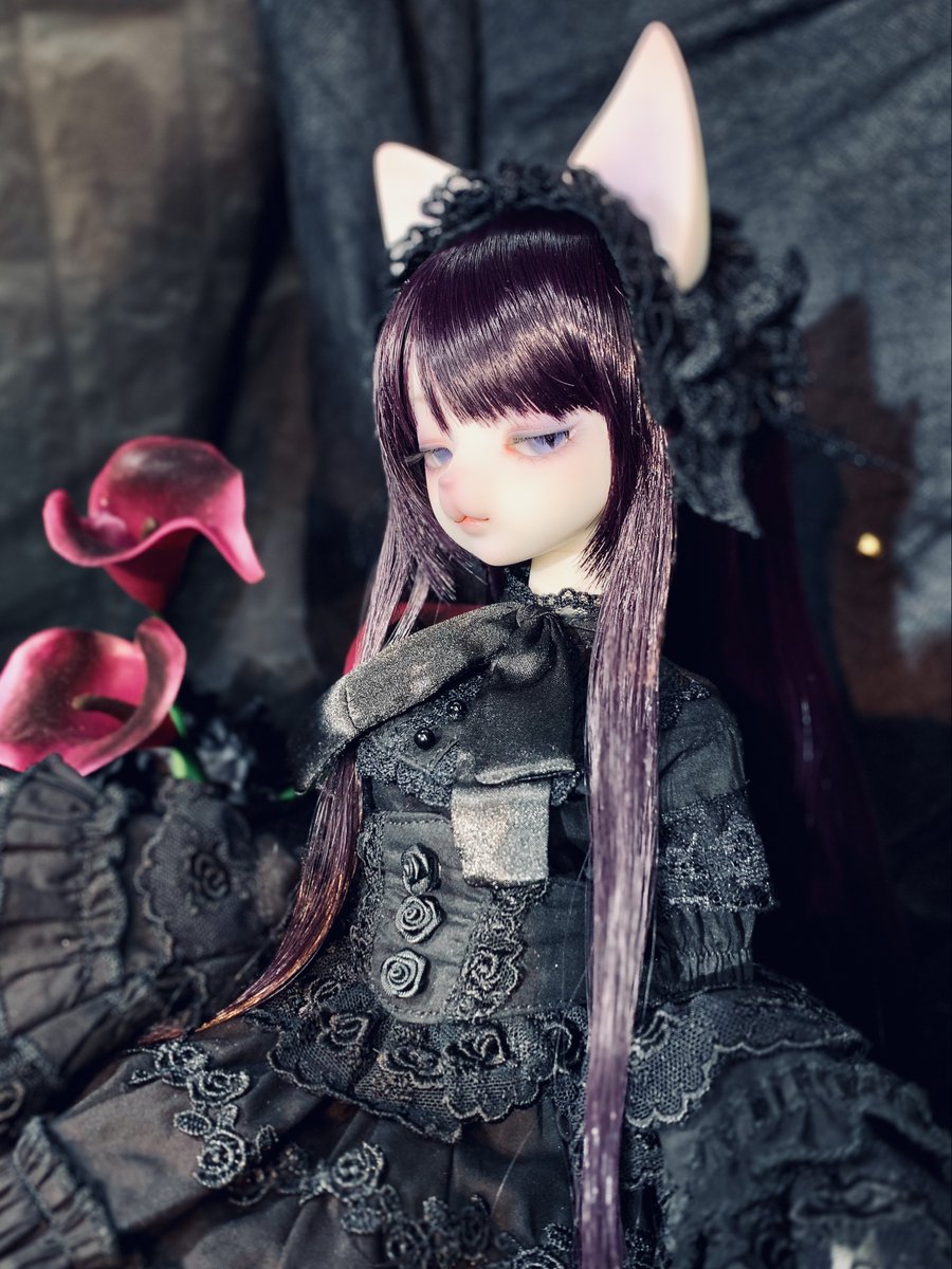 dolktokyo's tweet photo. 【DOLK2F♢お知らせ】
＼🖤特別展示🖤／
【DOLK×DEAR MINE】

── 棘までも甘く麗しい、初宵に咲く黒薔薇。

【VIVIEN L. cool ver. BLACK ROSE - Special Collaboration Edition】
傲慢なほどに美しく、その美貌ですべてが許される至高の黒薔薇をぜひお見逃しなく…
https://t.co/3bxRbRpF9m https://t.co/gFpz1xiL29