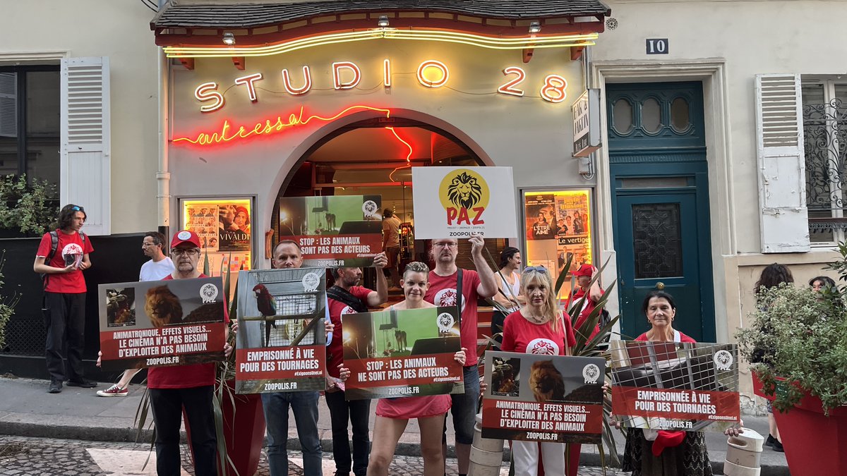 paz_zoopolis's tweet photo. 📢Mobilisation à Paris lors de l'avant-première du film "Le Triangle d'or". 

Une véritable panthère noire captive appelée #Ranny a été dressée pour le tournage.😱

Les animaux ne sont pas des acteurs !🐅

https://t.co/EFlmHNuo0c https://t.co/iLdfGnibkZ