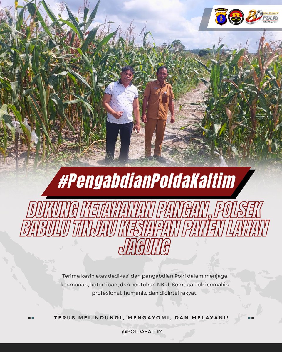 polresbontang's tweet photo. "Sinergi Polri dan masyarakat untuk ketahanan pangan! 🌽 ✨

Polsek Babulu tinjau kesiapan panen di lahan jagung. Bersama kita jaga kedaulatan pangan nasional. 

#PengabdianPoldaKaltim
#KetahananPangan https://t.co/JBiX3YuAO6