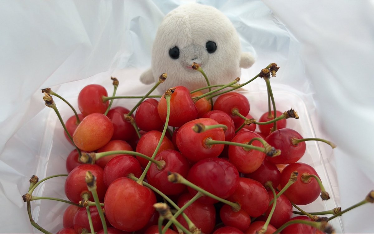 じょずに とる むずかし。