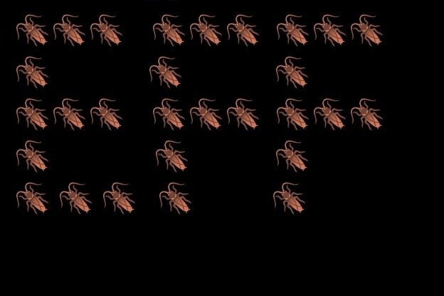 MadDuck68317982's tweet photo. This cockroach is doomed. ☠️ https://t.co/ywwAdZ27ff